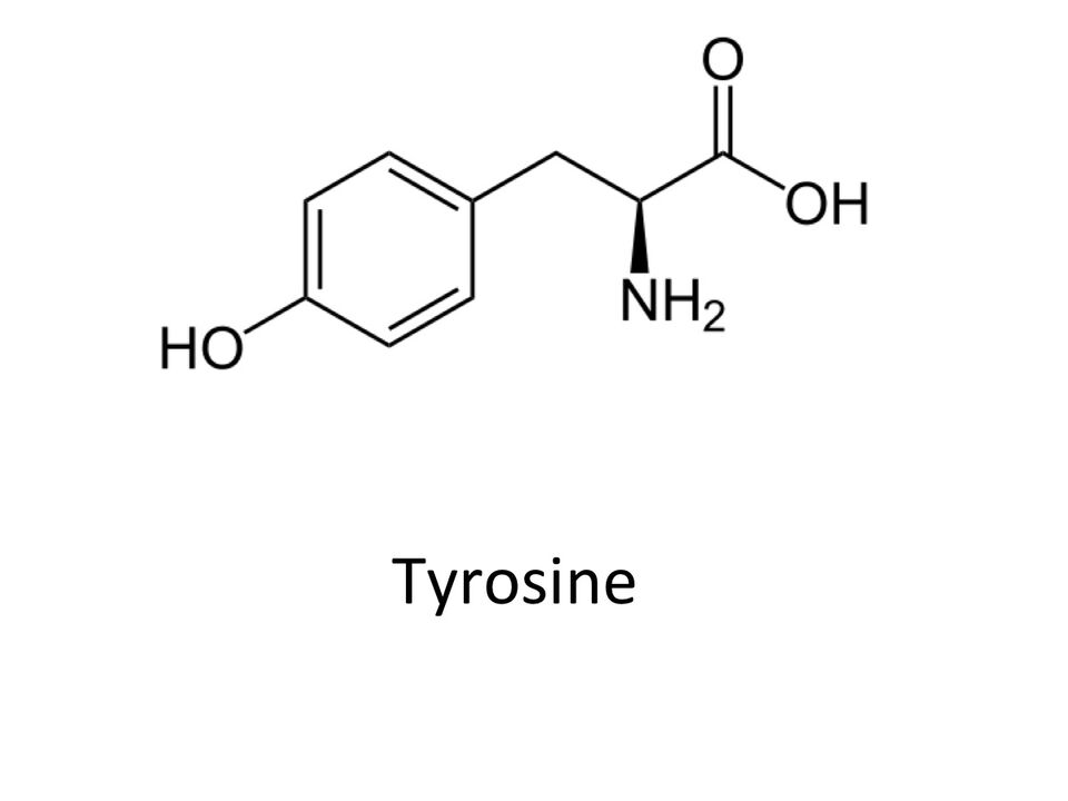 Tirosina en zxcvbnmqwert